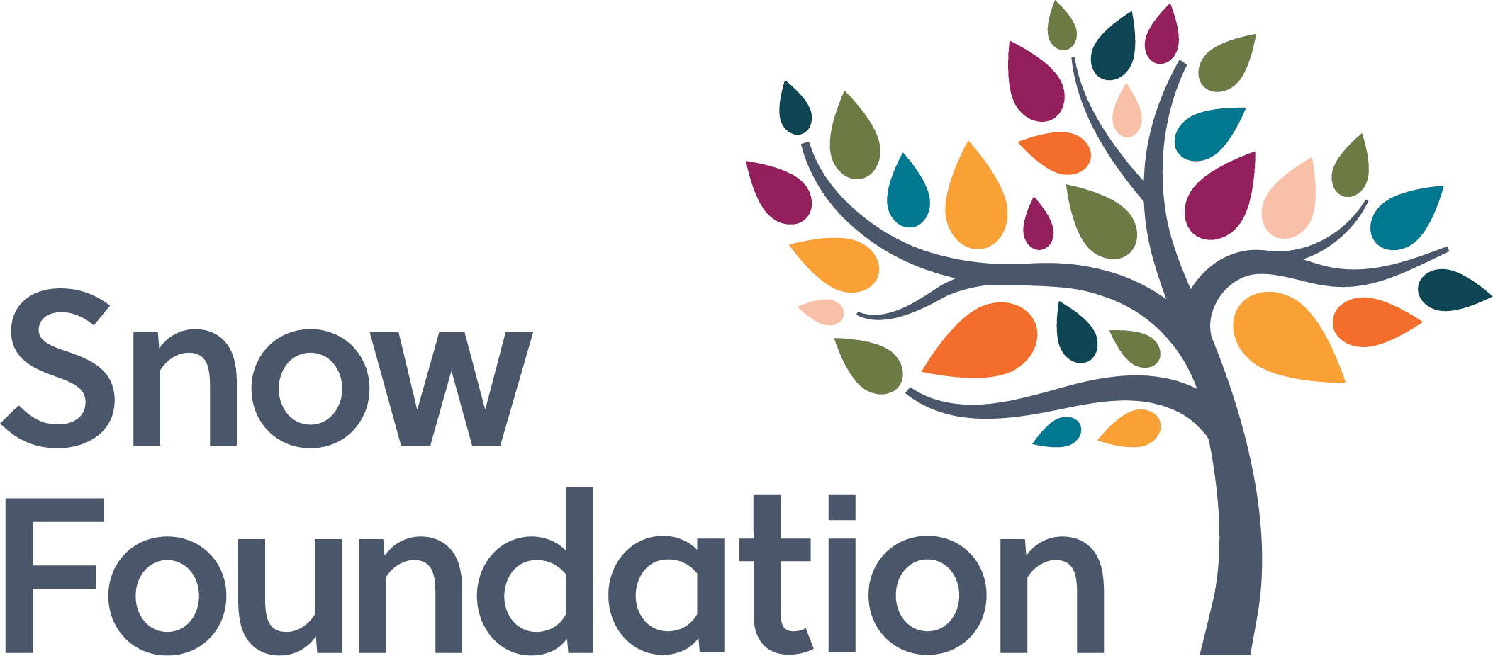 The Snow Foundation
